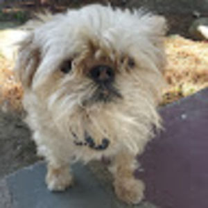 Meet your Posher, Ella